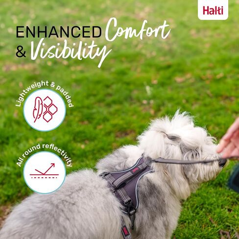 HALTI Anatomy Dog Harness with Handle - Provides Your Dog Freedom of Movement for Comfortable Walking. 3 Leash Attachment Points, Neoprene Padded, Adjustable, and Reflective (Size Small, Green) in Saudi Arabia