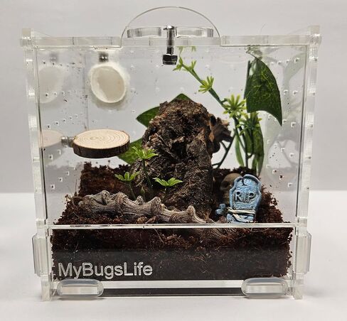 Jumping Spider، Mantis and Sling Cube Enclosure، 10 × 10 × 10، باب أمامي بقفل دوار، عرض غير مقيد، سطح علوي وخلفي وجوانب مزود بتهوية in Saudi Arabia