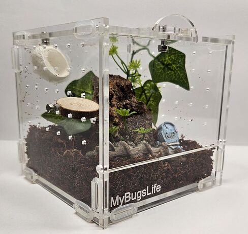 Jumping Spider، Mantis and Sling Cube Enclosure، 10 × 10 × 10، باب أمامي بقفل دوار، عرض غير مقيد، سطح علوي وخلفي وجوانب مزود بتهوية in Saudi Arabia