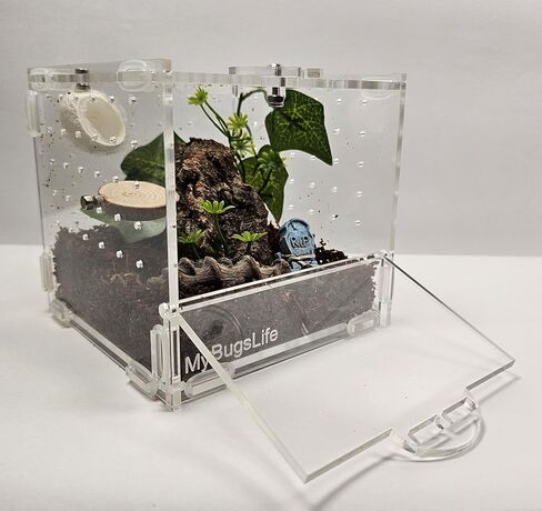 Jumping Spider، Mantis and Sling Cube Enclosure، 10 × 10 × 10، باب أمامي بقفل دوار، عرض غير مقيد، سطح علوي وخلفي وجوانب مزود بتهوية in Saudi Arabia
