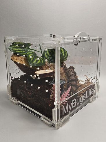 Jumping Spider، Mantis and Sling Cube Enclosure، 10 × 10 × 10، باب أمامي بقفل دوار، عرض غير مقيد، سطح علوي وخلفي وجوانب مزود بتهوية in Saudi Arabia