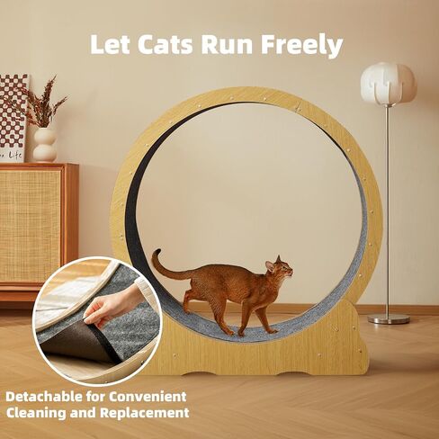 Cat Wheel, 43.5 inch XL Cat Treadmill, Cat Exercise Wheel for Indoor Cats, Extra Large Cat Running Wheel for Cats, Cat Treadmill Wheel with Carpeted Runway, Locking Mechanism in Saudi Arabia