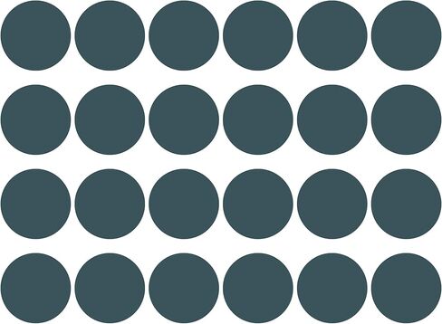 24 Count Sheet - 1" Round Adhesive Match Striker Paper Stickers | 1 inch Circle Replacement Stryker Stricker for Safety Matches | Peel & Stick Flint Lighter Dot Pad (Black) in Saudi Arabia