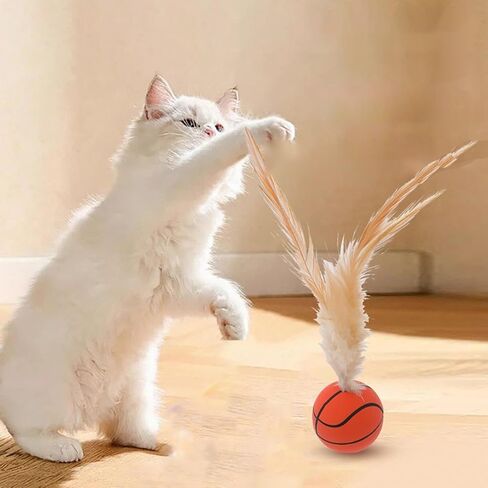 3 قطع من ألعاب كرة ريشة القطط ألعاب القطط للقطط الداخلية كرات نطاطة ألعاب للقطط الترفيه رفرفة كرة سلة صغيرة وكرة القدم والبيسبول للقطط للعب in Kuwait