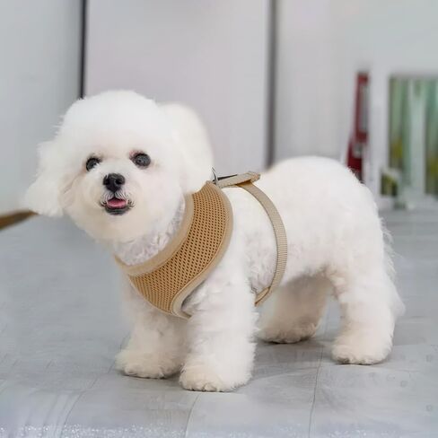 MoNiBloom Dog Harness for Small Sized Dog, Soft Puppy Padded Vest for Walking, Running, Training - Black, M in Kuwait