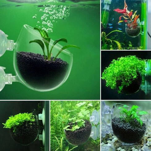 2Pcs Aquatic Plant Cups, Aquarium Plant Cup, Transparent Acrylic Aquatic Plant Pot with Suction, Aquarium Decoration 2 Shapes for Fish Tank Ornament Aquarium or Plastic Plants in Saudi Arabia