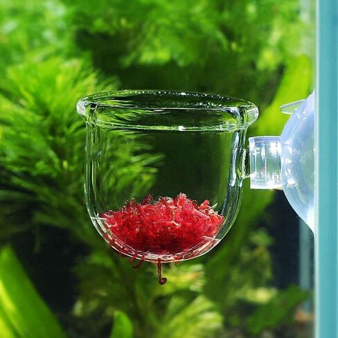 2Pcs Aquatic Plant Cups, Aquarium Plant Cup, Transparent Acrylic Aquatic Plant Pot with Suction, Aquarium Decoration 2 Shapes for Fish Tank Ornament Aquarium or Plastic Plants in Saudi Arabia