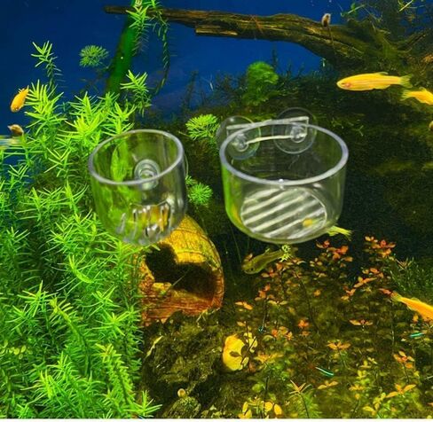 2Pcs Aquatic Plant Cups, Aquarium Plant Cup, Transparent Acrylic Aquatic Plant Pot with Suction, Aquarium Decoration 2 Shapes for Fish Tank Ornament Aquarium or Plastic Plants in Saudi Arabia