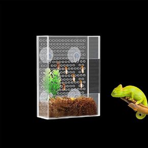Acrylic Reptile Feeder Box, Transparent Insect Feeder with Suction Cups, Chameleon Feeder Wall Mounted, Reptile Bug Bowl, Tank and Aquarium Accessories for Lizard Bearded Dragon Gecko Frog