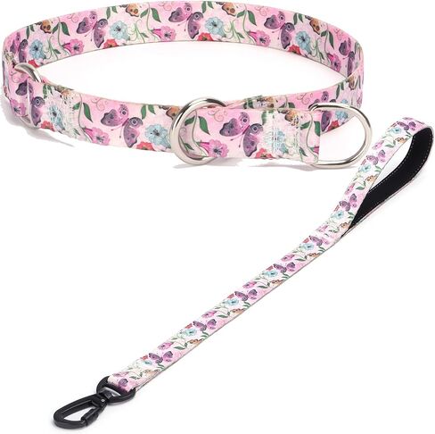 Dog Collar and Leash Set, Slip Collar with Stop Ring, No Pull Martingale Collar for Dogs, for Small, Medium, Large Dogs (NO17, S) in Kuwait