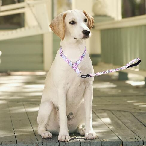 Dog Collar and Leash Set, Slip Collar with Stop Ring, No Pull Martingale Collar for Dogs, for Small, Medium, Large Dogs (NO17, S) in Kuwait