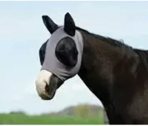 Weaver Leather Lycra® Fly Mask for Horses in Saudi Arabia