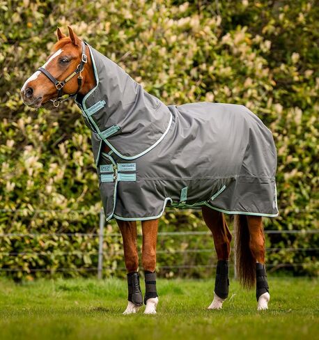 بطانية Horseware® Amigo® Hero Ripstop Plus Turnout Horse (200 جم متوسطة) in Saudi Arabia