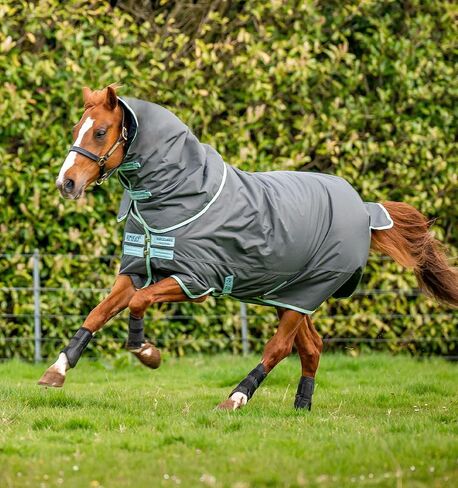 بطانية Horseware® Amigo® Hero Ripstop Plus Turnout Horse (200 جم متوسطة) in Saudi Arabia