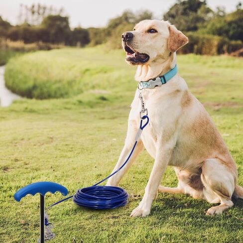 كابل ووتد لربط الكلاب: مقود وكابل في ساحة الكلاب مع سلسلة متينة وخطافات معدنية للتخييم في الهواء الطلق والفناء in Kuwait