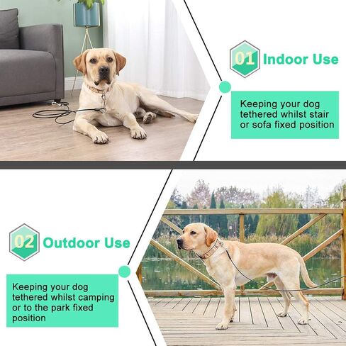 25ft Dog Tie Out Cable Galvanized Steel Wire Rope with PVC Coating for Medium Dogs up to 396Ibs, Diode Blue in Saudi Arabia