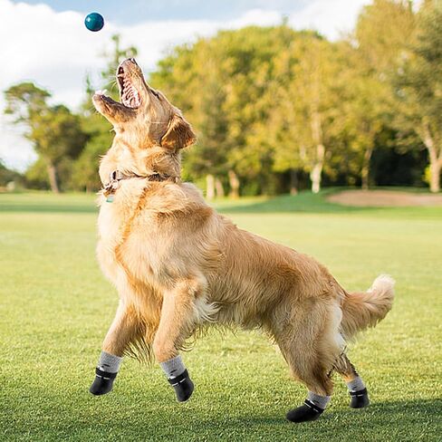 8 قطع من جوارب الكلاب المضادة للانزلاق من Xiaokeis مع 4 رقعة مغناطيسية، جوارب لطيفة مرنة وناعمة ومريحة للكلاب للاستخدام الداخلي على الأرضيات الصلبة، جوارب بمقبض للكلاب الصغيرة والمتوسطة (الحجم: S+M) in Kuwait