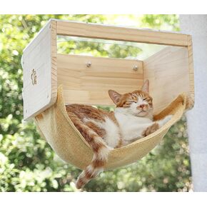 Cat Window Perch with Acrylic Roof, Cordless Hammock Bed Mounted with Strong Suction Cups, Wood Shelf for Inside Cats Climb, Sunbath and Overlooking