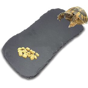 صخور الأردواز للزواحف، منصة تشمس الزواحف، طبق طعام السلحفاة من الصخور الطبيعية للزواحف، طبق تغذية السلحفاة in Kuwait