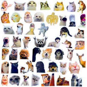 50 PC Funny Meme Animal Stickers Bulk Pack TikTok Dog Cat Fun Gag Ridiculous Stupid Waterproof Vinyl Sticker Decal Set for Water Bottle Laptop Computer Teens Adults Kids College Students Work Gifts