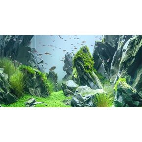 Marine Aquarium Background, Sea Rock Green Landscape Fish Tank Background, Nature Photo Terrarium Background 48X18IN with 8 EVA Double-Sided Tape