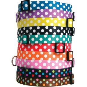 Yellow Dog Design Neopolitan Dog Collar with Tag-A-Long ID Tag System-Large-1" Wide and fits Neck 18 to 28"