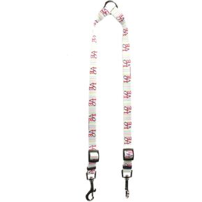 Yellow Dog Design Love Coupler Dog Leash 3/4" Wide and 12 to 20" Long, Medium