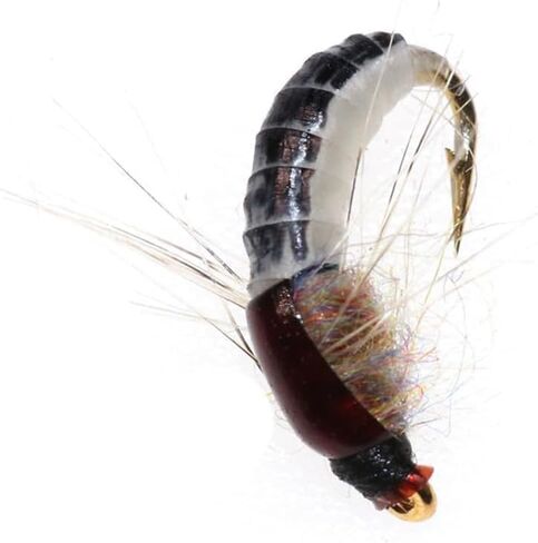6Pcs Brown Realistic Nymph Scud Fly for Trout Fishing, Soft Plastic Lures Hunting and Fishing,Artificial Insect Bait Lure Fishing Tackle Fishing,Lures, Baits and Attractants in Saudi Arabia