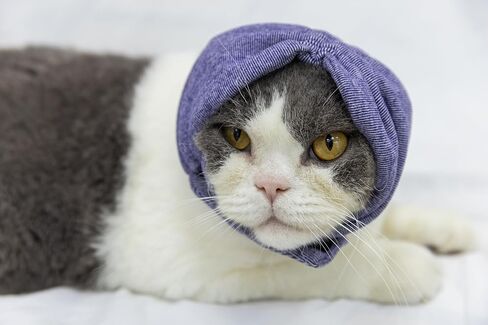 Cat Hematoma Ear Wrap,Cat No Flap Ear Wrap for Anxiety Relief – Noise Canceling for Fireworks, Thunderstorms Purple S in Saudi Arabia