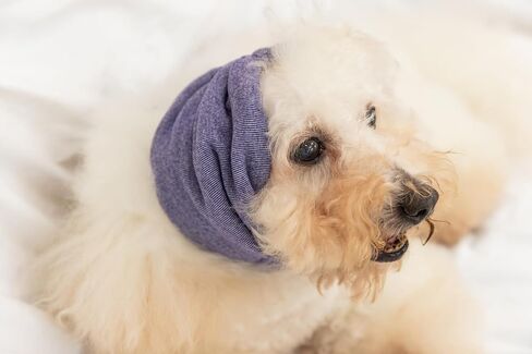 Cat Hematoma Ear Wrap,Cat No Flap Ear Wrap for Anxiety Relief – Noise Canceling for Fireworks, Thunderstorms Purple S in Saudi Arabia