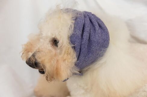 Cat Hematoma Ear Wrap,Cat No Flap Ear Wrap for Anxiety Relief – Noise Canceling for Fireworks, Thunderstorms Purple S in Saudi Arabia