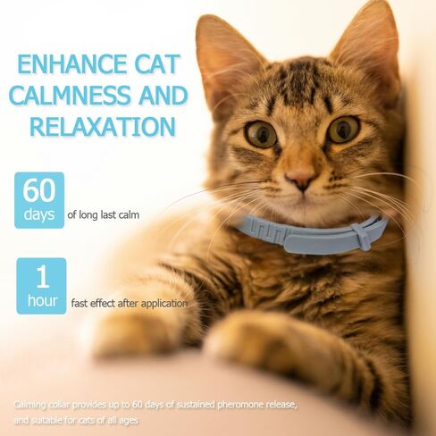 Cat Calming Collar for Cats Pheromones Anxiety Relief Calming Collar Cat Relaxer 4Pack, 60 Days of Calming Each Collar, Adjustable Size for All Cats for Travel (Grey) in Saudi Arabia