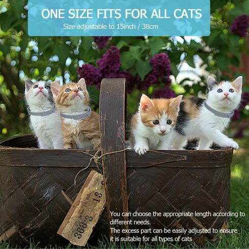 Cat Calming Collar for Cats Pheromones Anxiety Relief Calming Collar Cat Relaxer 4Pack, 60 Days of Calming Each Collar, Adjustable Size for All Cats for Travel (Grey) in Saudi Arabia