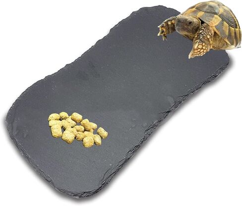 صخور الأردواز للزواحف، منصة تشمس الزواحف، طبق طعام السلحفاة من الصخور الطبيعية للزواحف، طبق تغذية السلحفاة in Kuwait