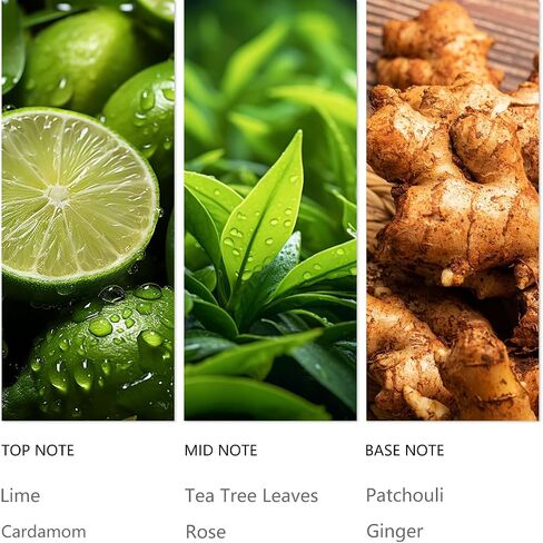 Aroma Hotel Scents, Home Aroma & Hotel Collection Diffuser Oil Waterless Diffuser Oil for Aromatherapy- Bottle120 ML, Scent Oil Usage Aroma Diffuser, Natural Flavour & fragrances (Olene) in Saudi Arabia