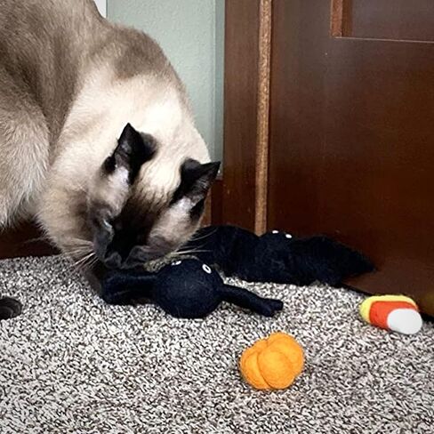 Midlee Halloween Felt Cat Toys Set- Bat, Pumpkin, Spider, Candy Corn in Saudi Arabia
