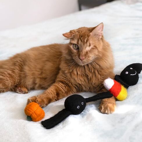 Midlee Halloween Felt Cat Toys Set- Bat, Pumpkin, Spider, Candy Corn in Saudi Arabia
