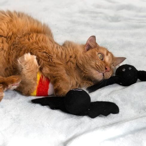 Midlee Halloween Felt Cat Toys Set- Bat, Pumpkin, Spider, Candy Corn in Saudi Arabia