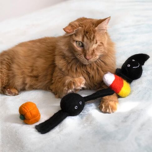 Midlee Halloween Felt Cat Toys Set- Bat, Pumpkin, Spider, Candy Corn in Saudi Arabia