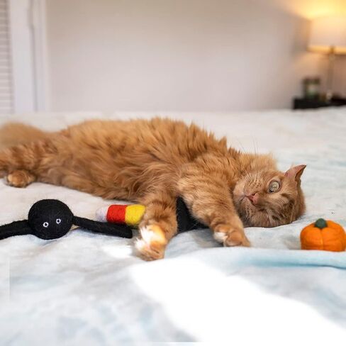 Midlee Halloween Felt Cat Toys Set- Bat, Pumpkin, Spider, Candy Corn in Saudi Arabia