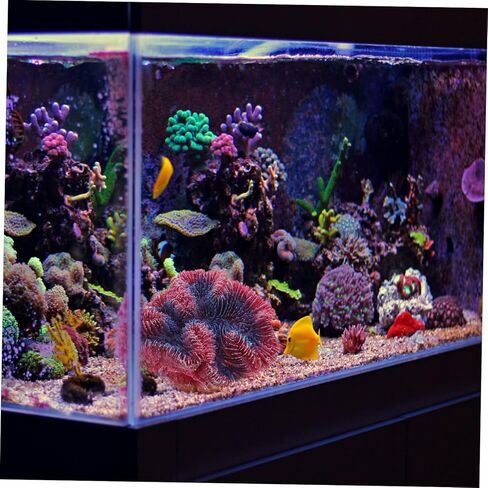 ديكور المرجان الاصطناعي ديكور المرجان وهمية الراتنج ديكور الشعاب المرجانية اكسسوارات المنزل ديكور للمنزل البحرية زخرفة خزان الأسماك الزينة الراتنج الشعاب المرجانية تزين حوض السمك الأسماك الصغيرة in Kuwait