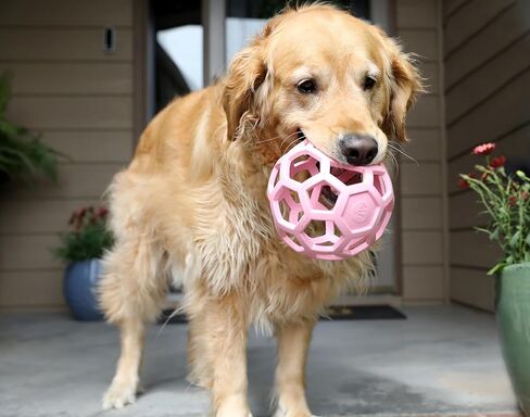 JW Pet HOL-ee Roller™, Dog Toy Puzzle Ball, Natural Rubber, Medium (4.5" Inch Diameter), Pink in Kuwait