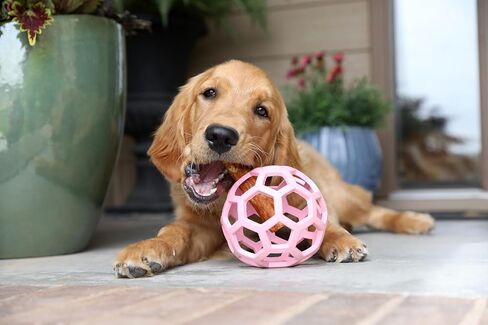 JW Pet HOL-ee Roller™, Dog Toy Puzzle Ball, Natural Rubber, Medium (4.5" Inch Diameter), Pink in Kuwait
