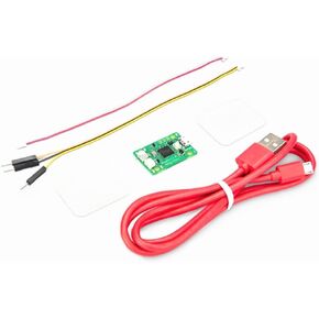 Hardware USB Debug Probe Kit for Raspberry Pi Pico Based on RP2040 Microcontroller with 3-Pin Debug Connetor Cable and Clear Cover Case @XYGStudy (Raspberry Pi Debug Probe)