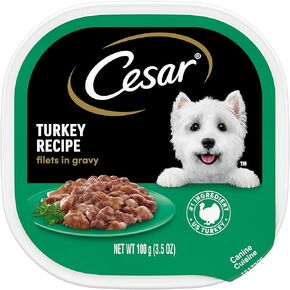 CESAR Filets in Gravy Adult Wet Dog Food, Turkey Recipe, 3.5 oz., Pack of 24