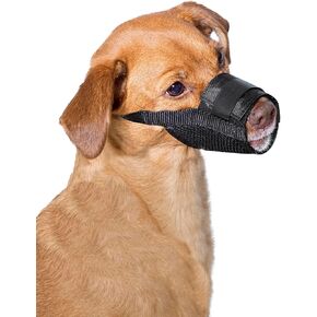 Premier Pet Dog Muzzle - Medium, Adjustable Padded Fit for Comfort, Reduces Nipping, Biting, and Barking, Ideal for Dog Grooming, Claw Clipping and Vet Visits