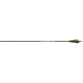 Gold Tip Hunter XT 300 Arrows with 4-Inch Feathers (1-Dozen)