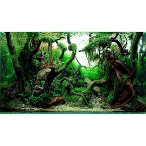 Aquascaped Freshwater Aquarium Background with Neon Fish Live Plants,Frodo Stones and Redmoor Roots Terrarium Background Jungle Style Aquascape Aquarium Backdrop Fish Tank Decor Vinyl 48x18in