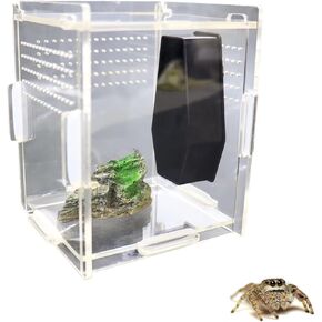2 Pack Jumping Spider Coffin for Spoods Pet Spider Jumping Spider Magnetic Hides Jumping Spider Enclosure Ledges Jumping Spider Habitat Decor