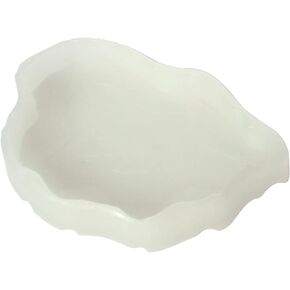 Terrarium Bowls Bowl Worm Dish for Small Plastic Water Bowl for Anoles Bearded Dragons Bowl Water Bowl Small Worm Dish for for Bearded Dragon